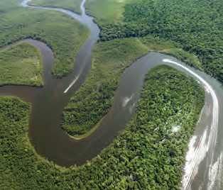 Fotoğraf 1.119 Bazı akarsular, yıl boyunca bol su taşır (Amazon Nehri, Brezilya).