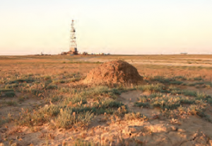 Fotoğraf 1.159 Kahverengi bozkır toprağı
