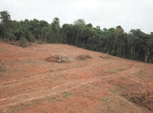 Fotoğraf 1.28 Ormanların tahrip edildiği yerlerde yer altı suyu azalır.