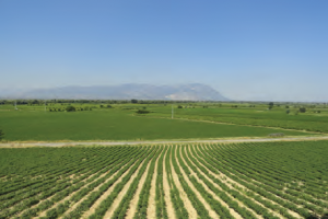 Fotoğraf 2.65 Ovalar, önemli tarımsal üretim alanlarıdır.