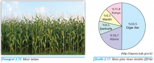 Fotoğraf 2.72 Mısır tarlası - Grafik 2.17 İllere göre mısır üretimi (2016)