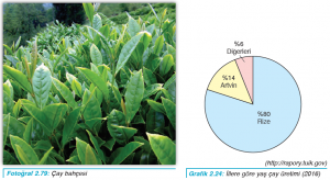 Fotoğraf 2.79 Çay bahçesi - Grafik 2.24 İllere göre yaş çay üretimi (2016)