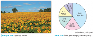 Fotoğraf 2.80 Ayçiçeği tarlası - Grafik 2.25 İllere göre ayçiçeği üretimi (2016)