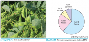 Fotoğraf 2.81 Soya fasulyesi bitkisi - Grafik 2.26 İllere göre soya fasulyesi üretimi (2016)