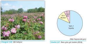 Fotoğraf 2.82 Gül bahçesi - Grafik 2.27 İllere göre gül üretimi (2016)