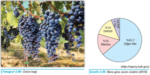 Fotoğraf 2.90 Üzüm bağı - Grafik 2.35 İllere göre üzüm üretimi (2016)