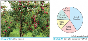 Fotoğraf 2.91 Elma bahçesi - Grafik 2.36 İllere göre elma üretimi (2016)