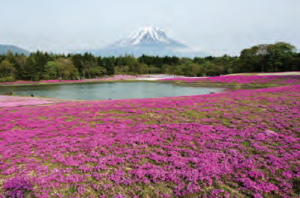 Fotoğraf 3.45 Fuji-Hakone-Izu Millî Parkı