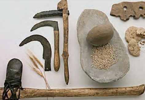 Fotoğraf 3.53 Neolitik Dönem’de tarım, daha çok basit araç ve gereçlerle yapılıyordu.