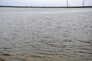 Fotoğraf 4.23 Kurutulan Amik Gölü’nün bulunduğu yer, zaman zaman sular altında kalmaktadır.