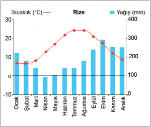 Grafik 1.5.16 Karadeniz ikliminde sıcaklık ve yağışın aylara dağılımı