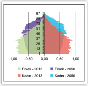 Grafik 2.10 Türkiye’nin nüfus piramidi (2013 - 2050)