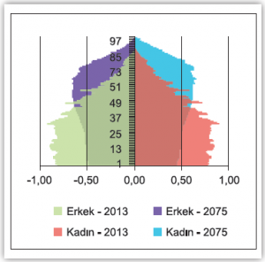 Grafik 2.11 Türkiye’nin nüfus piramidi (2013- 2075)