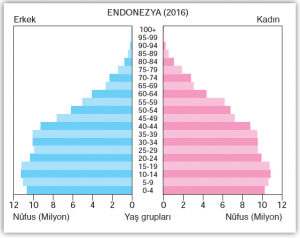 Grafik 2.2 Endonezya, nüfus artış hızını düşürmeyi başaran ülkelerdendir.