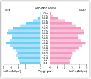 Grafik 2.6 Japonya’da nüfusun yaş gruplarına dağılımı