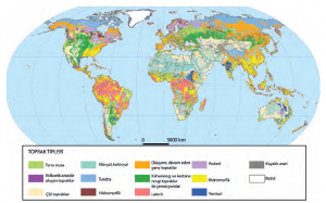 Harita 1.25 Yeryüzündeki başlıca toprak tipleri