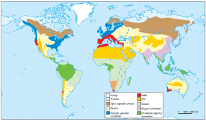 Harita 1.27 Yeryüzündeki başlıca bitki örtüleri