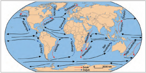 Harita 1.5.3 Başlıca okyanus akıntıları (cimss.ssec.wisc.edu adresinden yararlanılarak çizilmiştir.)