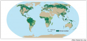 Harita 3.5 Dünyadaki başlıca orman alanları