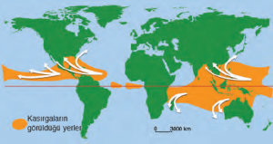 Harita 4.4 Yeryüzünde kasırgaların dağılışı (Oklar kasırga yönünü göstermektedir.)
